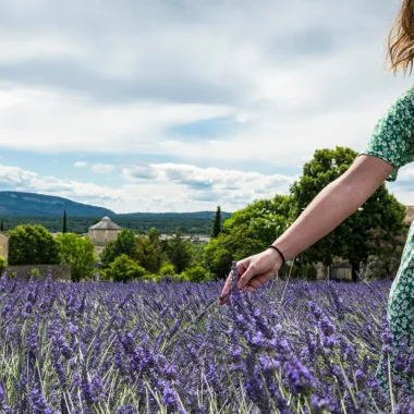 Woman touching lavender in Larnas