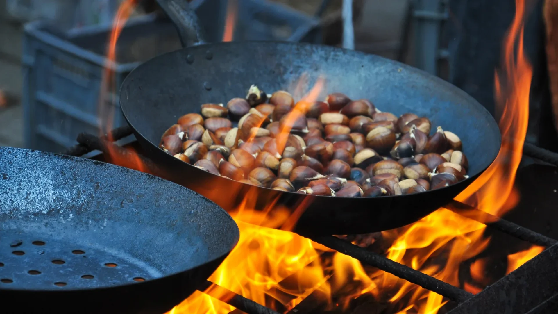 Roasted chestnuts