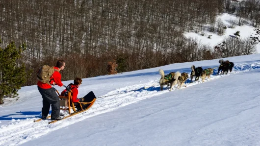 Couple practicing dog sledding activity at La Chavade in a snow-covered landscape.