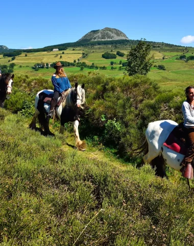 Group horse riding i n the Ardèche mountains in summer