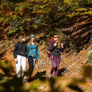 Group of friends hiking in autumn
