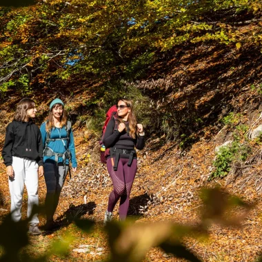 Group of friends hiking in autumn