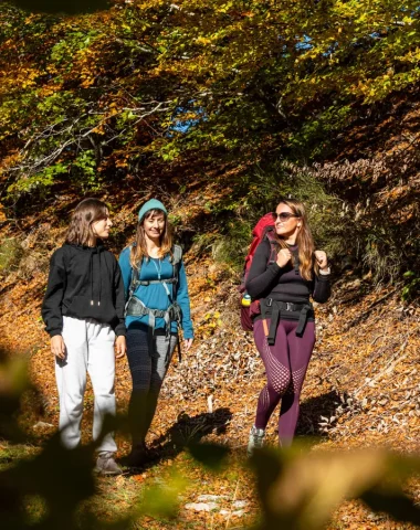 Group of friends hiking in autumn