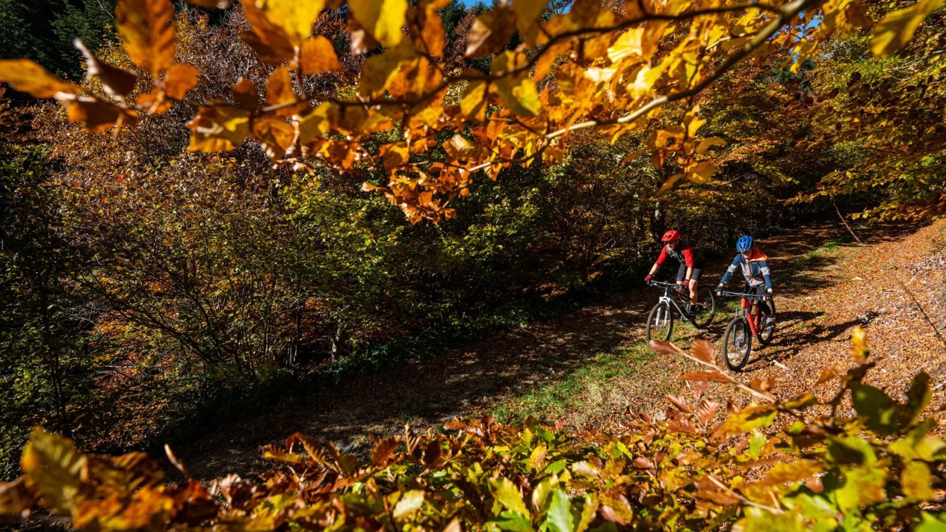 Mountain biking in autumn