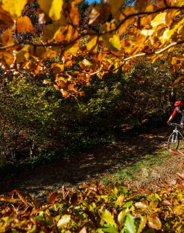 Mountain biking in autumn