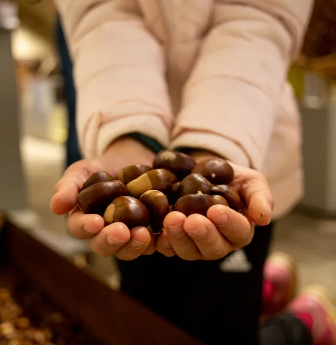 Chestnuts in autumn
