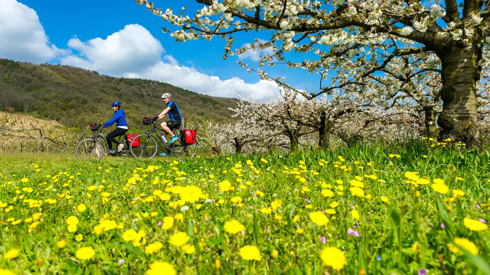 Couple on the viarhona