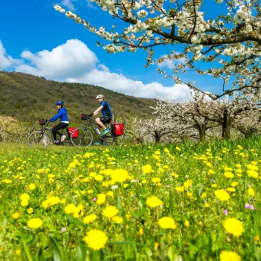 Couple on the viarhona