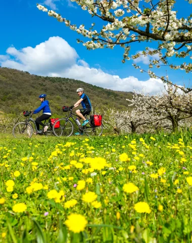 Couple on the viarhona
