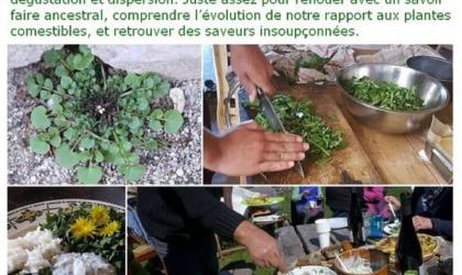 Nicolas Grisolle - Journée Sauvage et Comestible à Darbres