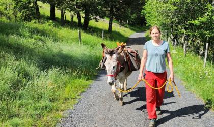 Les ânes des monts d'Ardèche - Randonnée guidée avec ânes