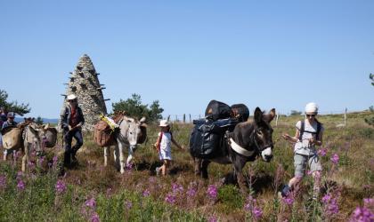 @O. Mathis - Randonnée avec les ânes sur les monts d'Ardèche