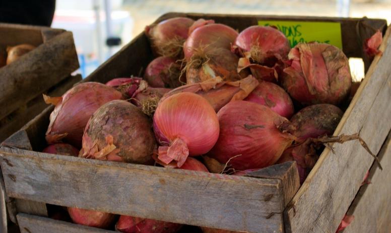 Pixabay licence gratuite - farmers-market-purple-onions-ge19b7dce4_1920