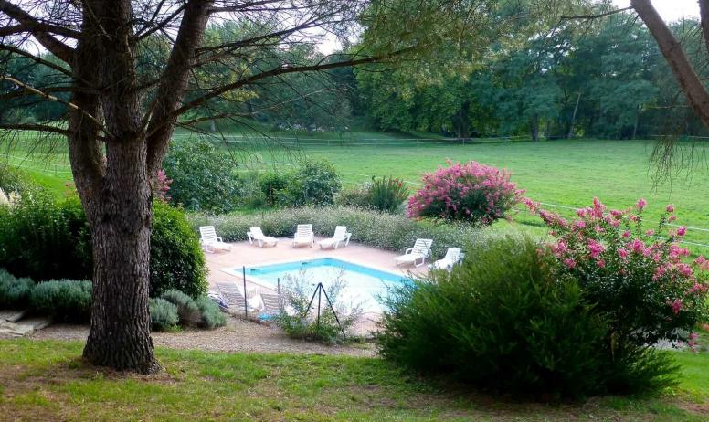 Gîtes de France - la piscine dans son écrin fleuri