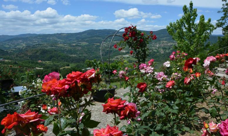 Gîtes de France - Un petit parfum de rose avec vue sur la vallée du Doux .