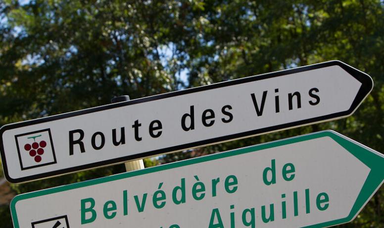 Gîtes de France - la route des vins, qui vous fera découvrir de splendides paysages sur la vallée du Rhône
(copyright photo: OT du Tournonais Hermitage)