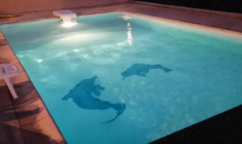 Gîtes de France - la piscine de nuit