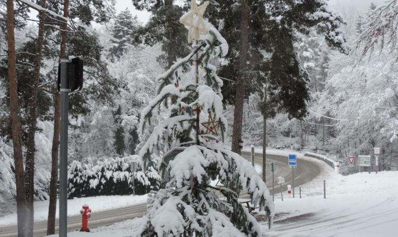 Gîtes de France - Le sapin de Noël recouvert d'un manteau blanc.