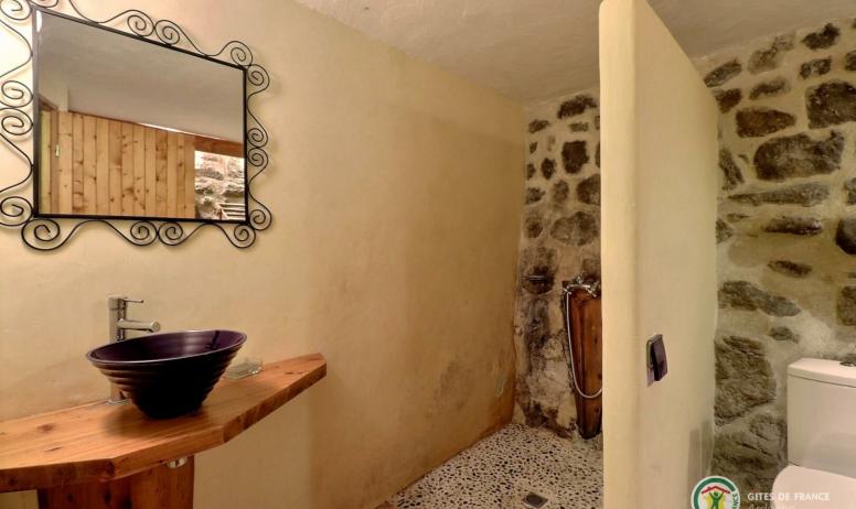Gîtes de France - Salle d'eau avec douche à l'italienne, vasque et WC