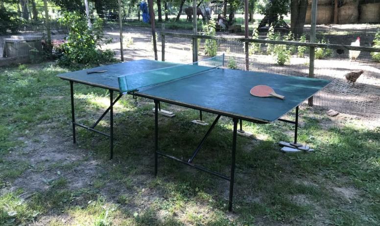 Gîtes de France - ping pong