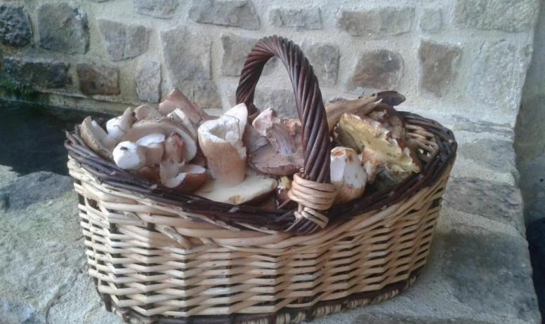 Gîtes de France - En automne la nature est généreuse:
Cèpes, girolles... un lieu extraordinaire pour la cueillette des champignons