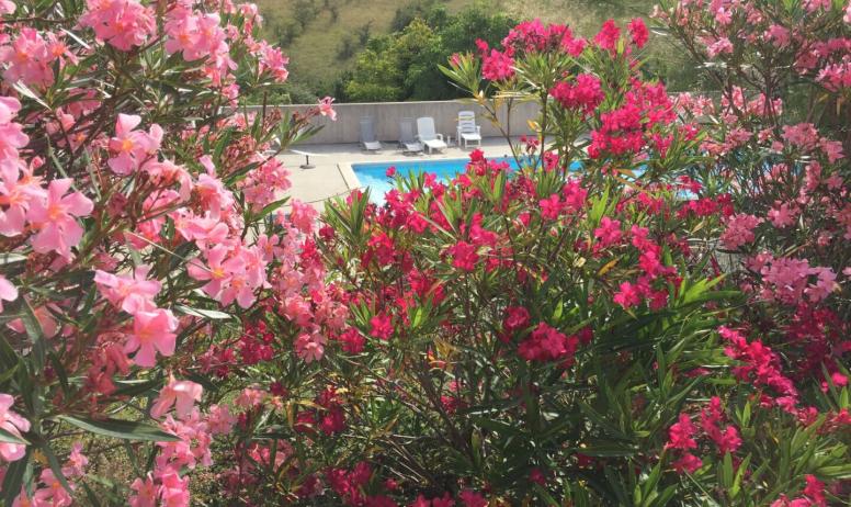Bastides d'Helvie - lauriers roses et vue sur la piscine