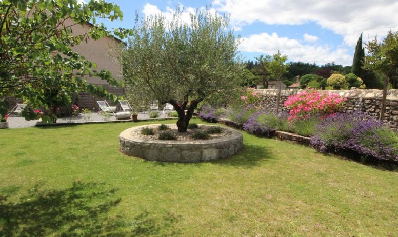 Gîtes de France - Magnifique olivier central au jardin
