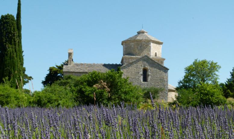 Gorges de l'Ardèche Tourisme - L'église Saint-Pierre au milieu des champs de lavande