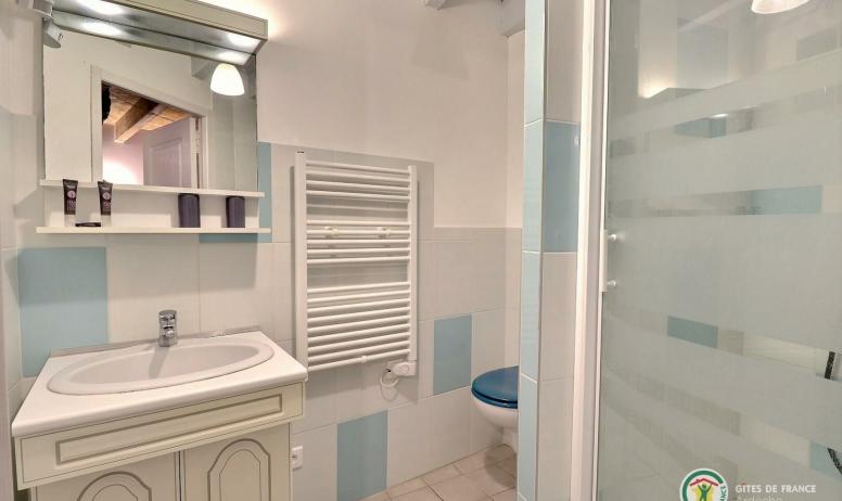 Gîtes de France - Salle d'eau avec douche, meuble vasque et WC