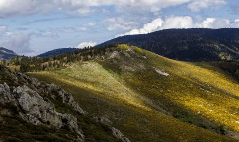 Chemin Faisant - Chemin Faisant - Les Monts d'Ardèche en liberté
