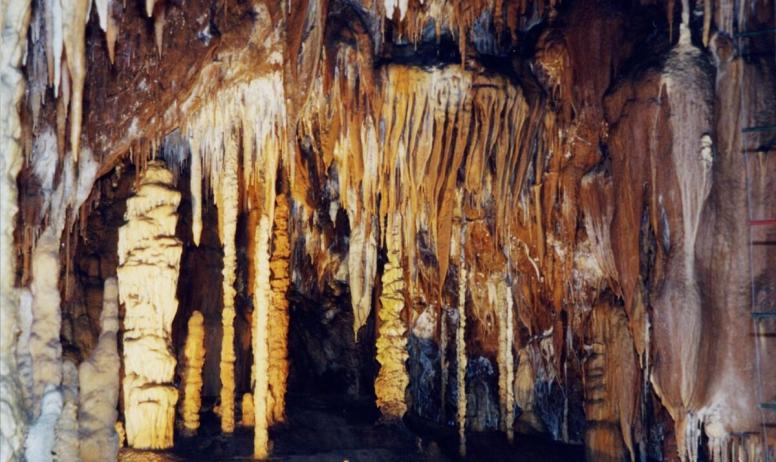 Clévacances - A 30 mn l'espace de restitution de la Grotte Chauvet