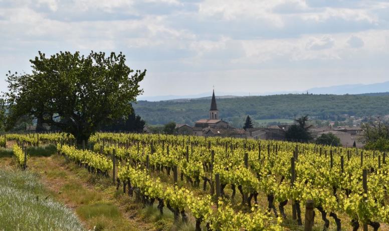 Gîtes de France - Le village de Lussas et les vignes