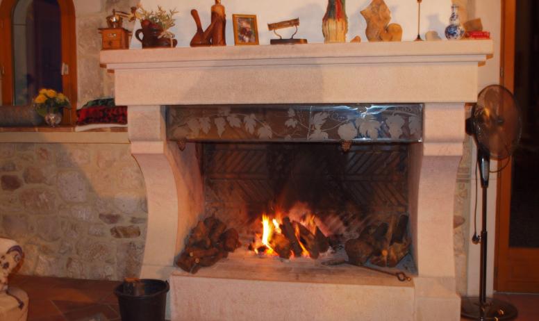 roland theissen - cheminee interieur feu de bois
