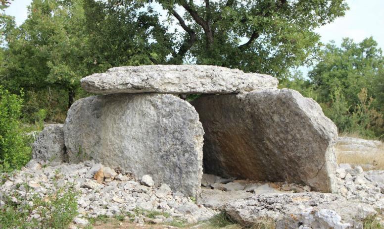 ot cevennes d'Ardèche - dolmen