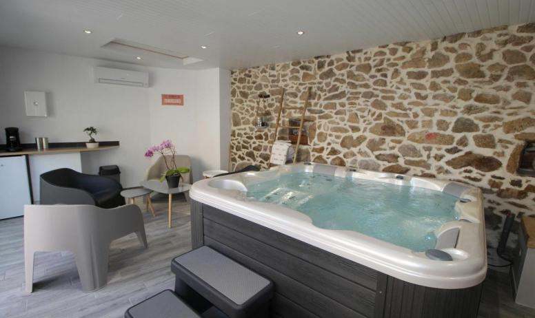 Gîtes de France - Espace salon d'intérieur, SPA et sauna privatifs