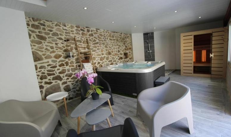 Gîtes de France - Espace salon d'intérieur, SPA et sauna privatifs