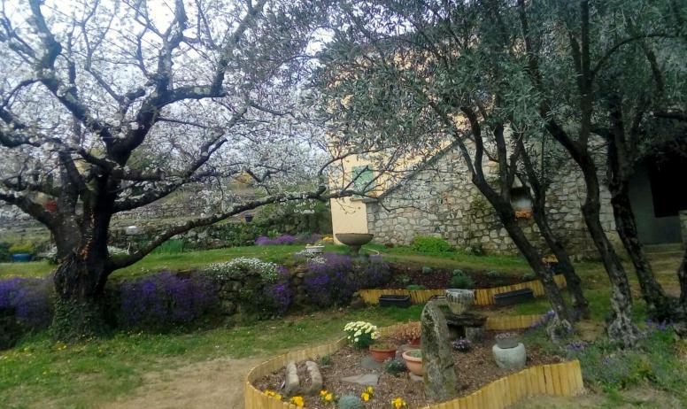 Gîtes de France - Petite rocaille sous le cerisier et sous un olivier