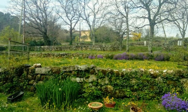 Gîtes de France - Jardin aux couleurs du printemps