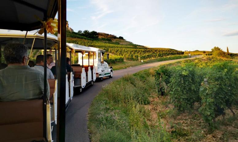 @Petit Train des Vignes - De la Balade du Canotier au Petit Train des Vignes_embarcadère_tournon