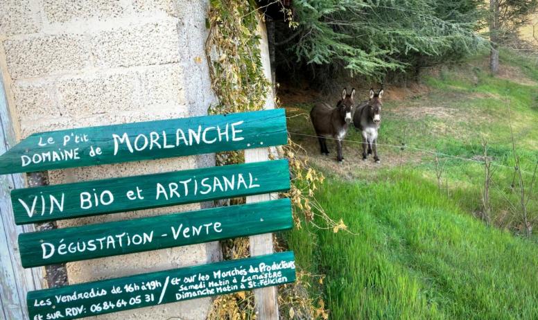 Domaine Morlanche