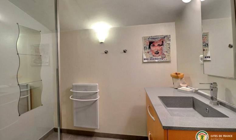 Gîtes de France - Salle d'eau avec douche et meuble vasque