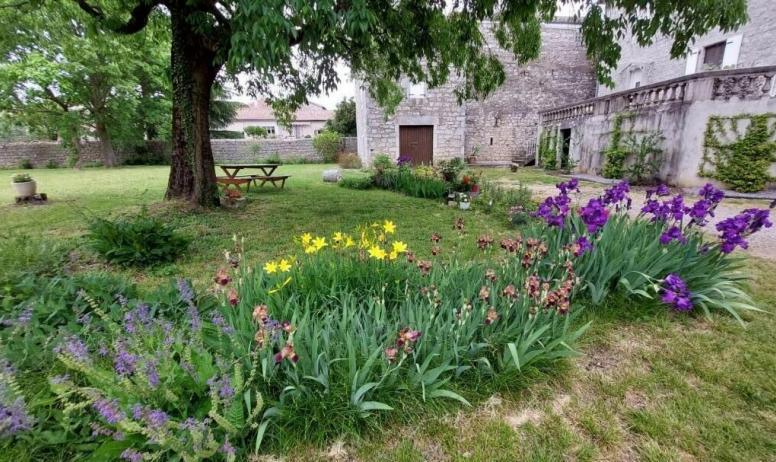 Gîtes de France - les iris, les lys d'un jour en avril