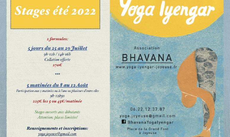 Association Bhavana - Programme stage été