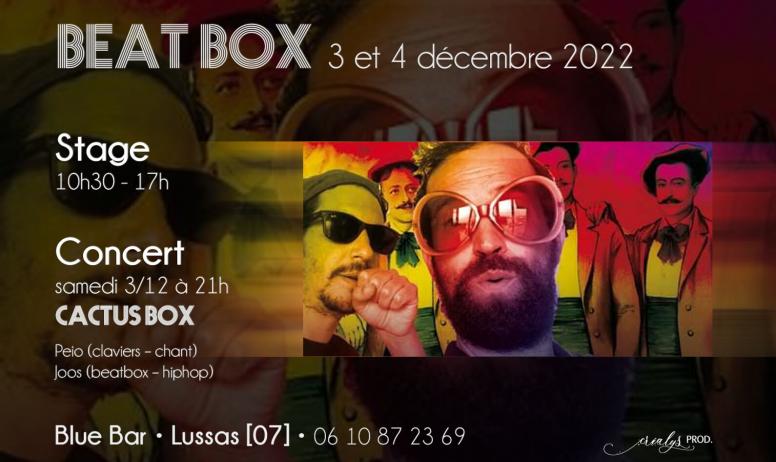 Crealys - Beat Box - Stage et concert à Lussas