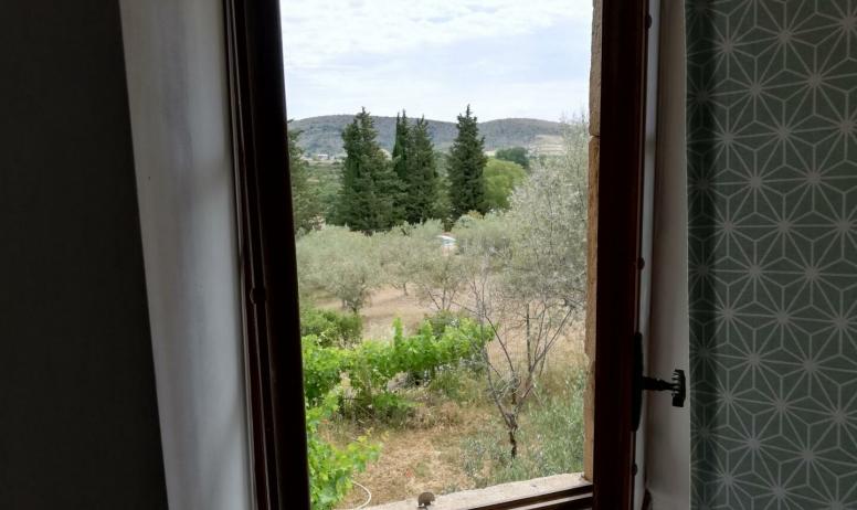 Gîtes de France - vue de la chambre sur les oliviers 