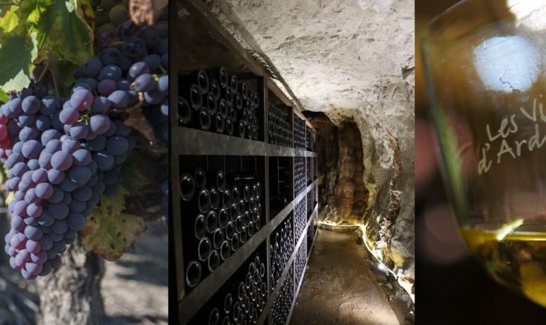Néovinum & Aven d'Orgnac - De la vigne à  la bouteille