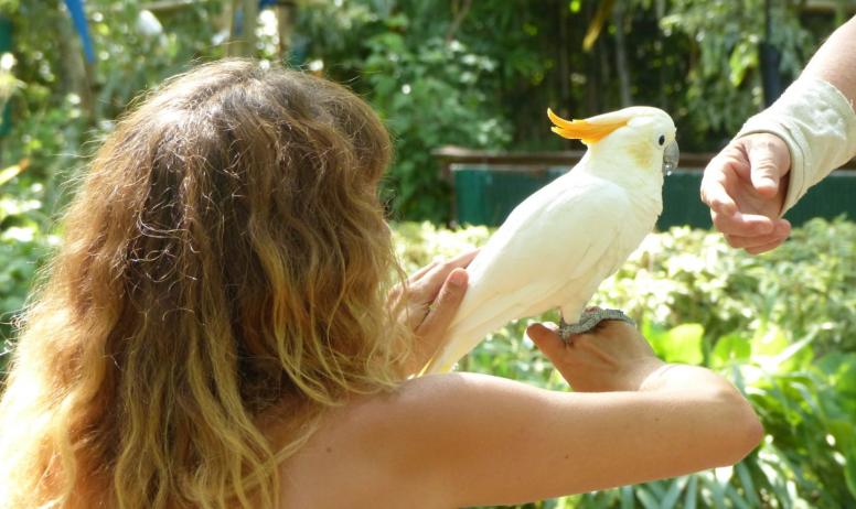 Ardèche Hermitage Tourisme - Rencontre avec les oiseaux